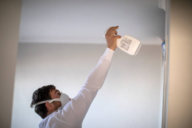 Best Mold Damage Repair  in South Plainfield, NJ
