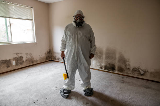 Best Residential Mold Removal  in South Plainfield, NJ